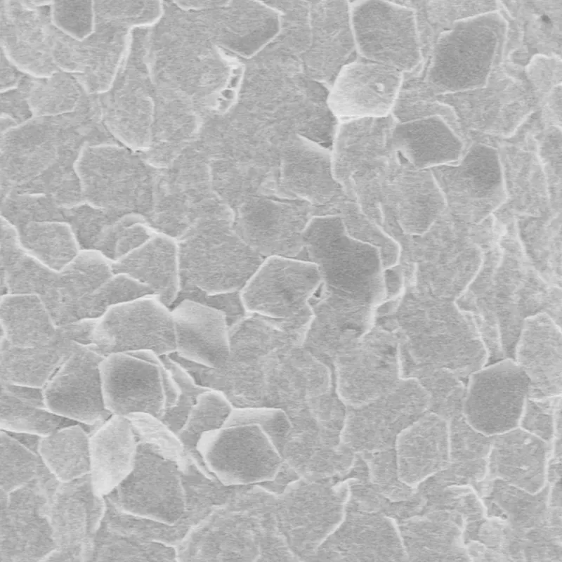 Alumina Nanoplates A100