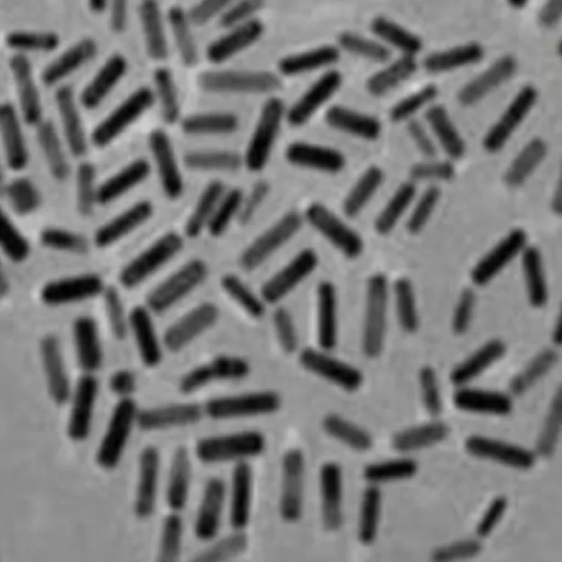 Alumina Nanoplates A100