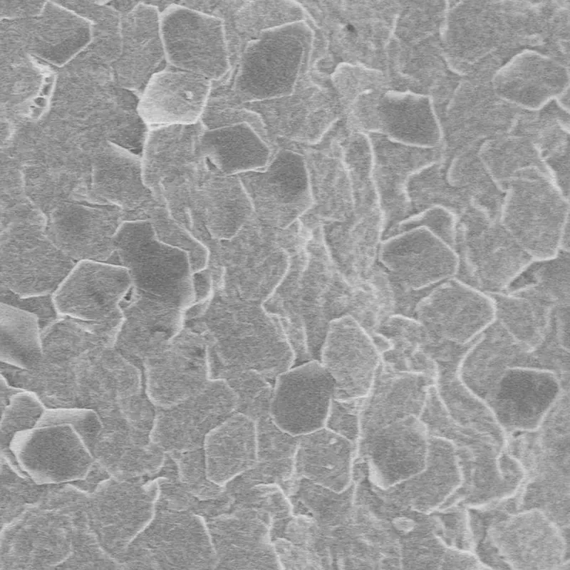 Alumina Nanoplates A100