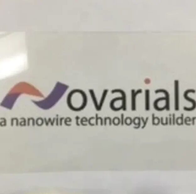 Alumina Nanoplates A100