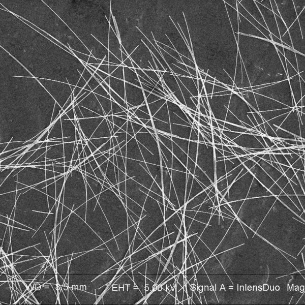 Silver Nanowires A60SL for Inkjet Printing (60nm×10um)