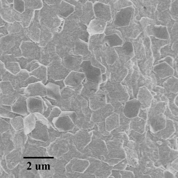 Alumina Nanoplates A100
