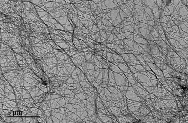 Bacterial Nanocelluloses (BNCs)