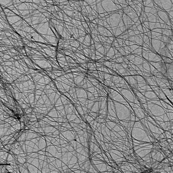 Bacterial Nanocelluloses (BNCs)