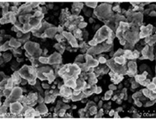 LiFePO4 (LFP) Powder LiFePO4 (LFP) Powder