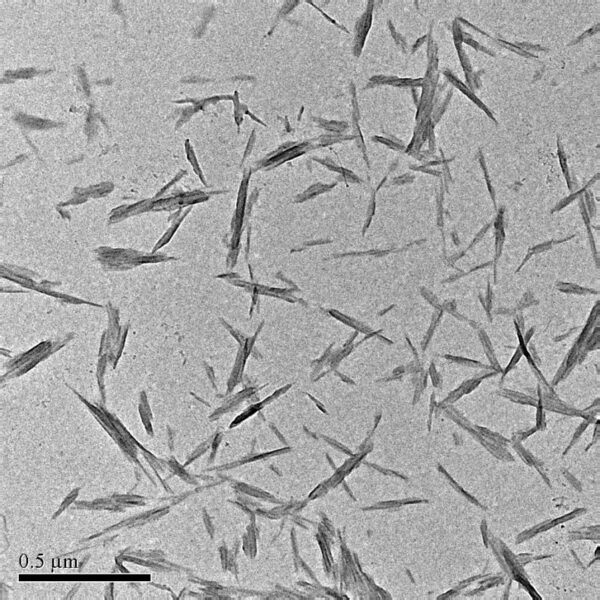 Cellulose Nanocrystals (CNCs)