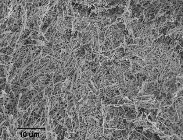 Anatase Nanowires A1 (100nm×10um, Research Grade) Anatase Nanowires A1 (100nm×10um, Research Grade)