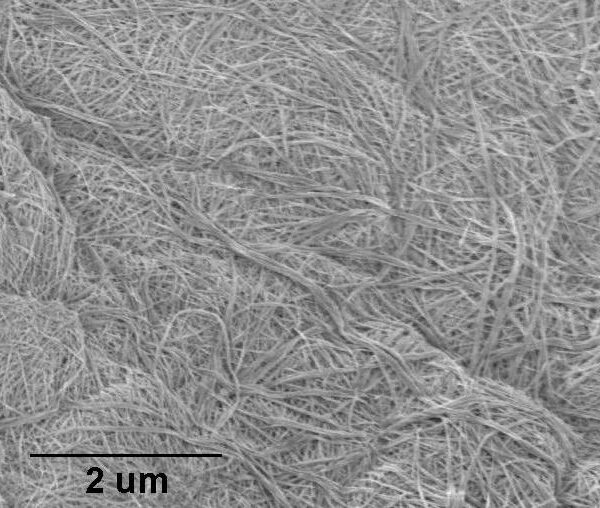 Anatase Nanowires B1 (10nm×10um, Research Grade)