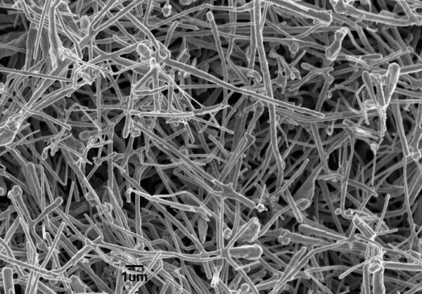 Copper Nanowires B1 (150nm×5um) Copper Nanowires B1 (150nm×5um)