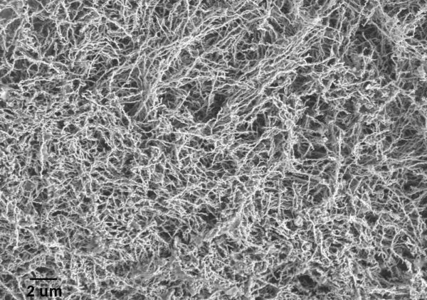 Iron Nanowires (80nm×10um) Iron Nanowires (80nm×10um)