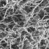 Iron Nanowires (80nm×10um) Iron Nanowires (80nm×10um)