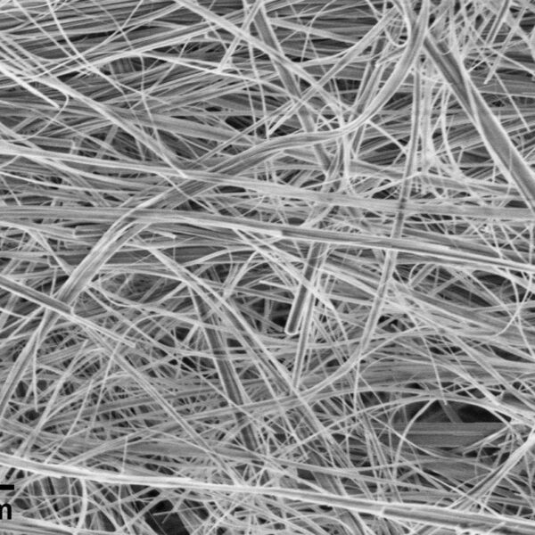 Hydroxylapatite (HAP) Nanowires A40 (40nm×100um)