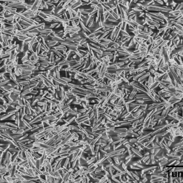 Hydroxylapatite (HAP) Nanowires A100 (100nm×700nm)