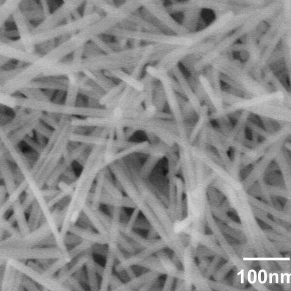 La2O3 Nanowires (20nm×10um)
