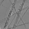Titanium Oxide Nanowires A (100nm×20um, Research Grade) Titanium Oxide Nanowires A (100nm×20um, Research Grade)