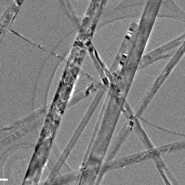 Titanium Oxide Nanowires A (100nm×20um, Research Grade)