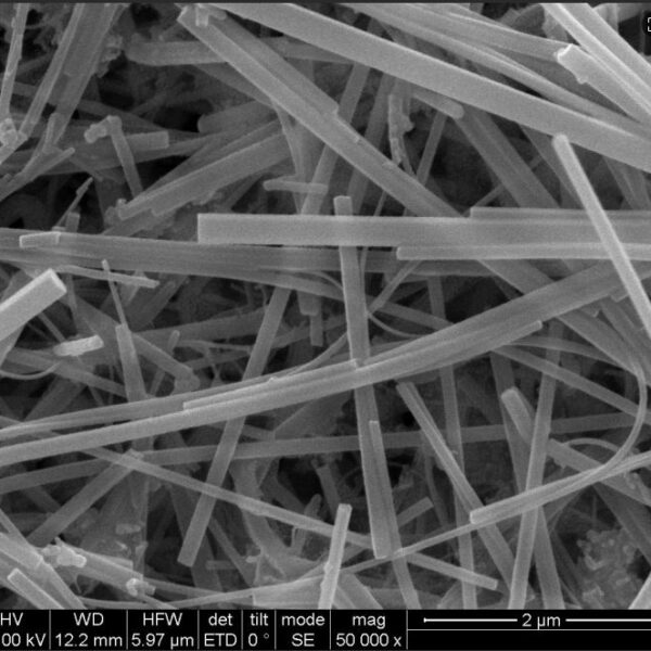 Silicon Nanowires A150 Silicon Nanowires A150