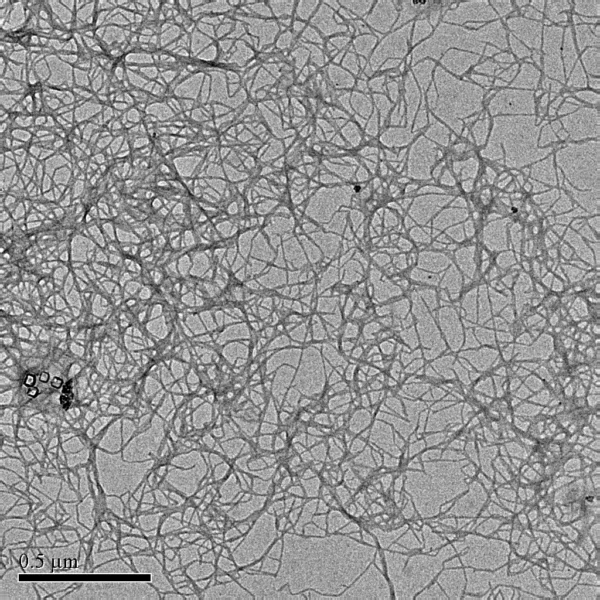 Cellulose Nanofibers (CNFs)
