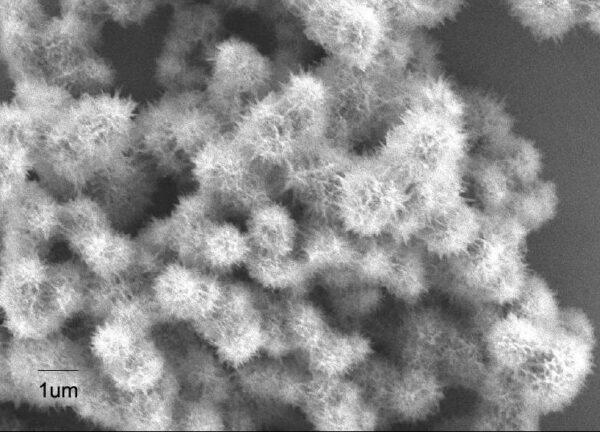 Titanium Oxide Urchins