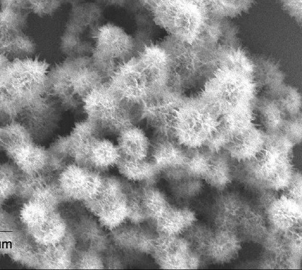 Titanium Oxide Urchins