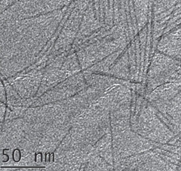 Tungsten Oxide Nanowires A2 (2nm×200nm) Tungsten Oxide Nanowires A2 (2nm×200nm)