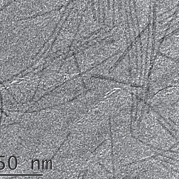 Tungsten Oxide Nanowires A2 (2nm×200nm) Tungsten Oxide Nanowires A2 (2nm×200nm)