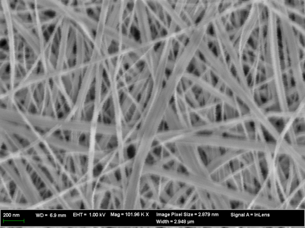 Vanadium Oxide Nanowires (40nm×100um)