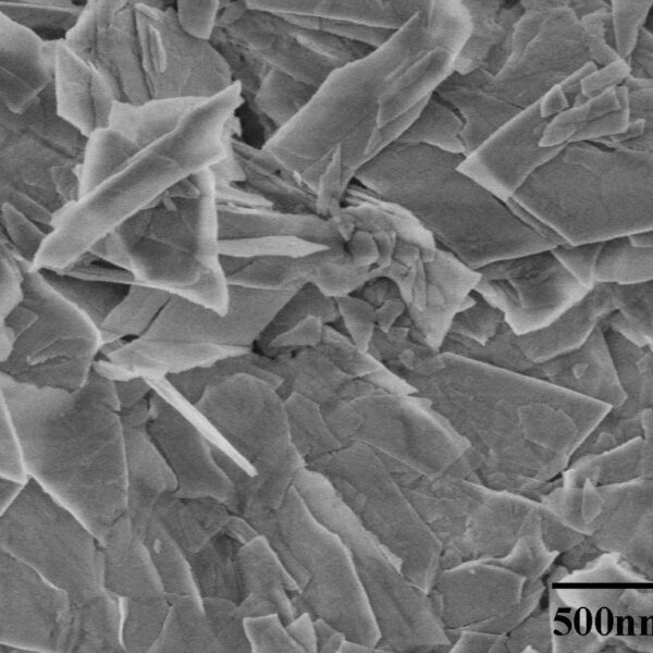 Zinc Oxide Nanoplates