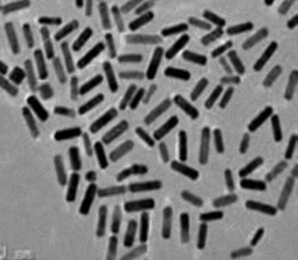 Gold Nanorods (6nm×42nm)
