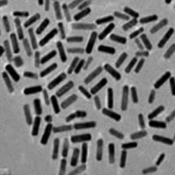 Gold Nanorods (6nm×42nm)