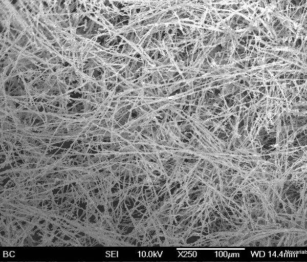 Nickel Nanowires S200 (200nm×100um)