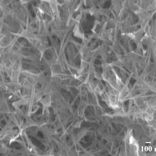 Silica Nanowires A10 (10nm×200nm)
