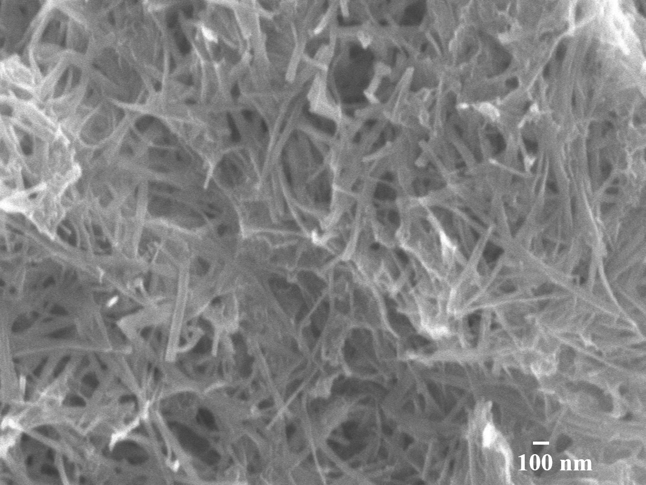 SEM image of silica nanowires A10