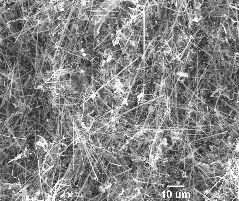 SEM image of silicon carbide nanowires A75