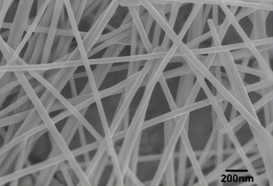SEM image of silver nanowires A50