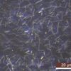 Silver Nanowires A50SL for Inkjet Printing (50nm×2-10um) Silver Nanowires A50SL for Inkjet Printing (50nm×2-10um)