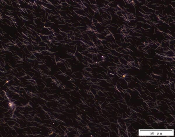 Silver Nanowires A50SL for Inkjet Printing (50nm×2-10um) Silver Nanowires A50SL for Inkjet Printing (50nm×2-10um)