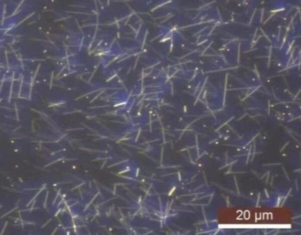 Silver Nanowires A50SL for Inkjet Printing (50nm×2-10um) Silver Nanowires A50SL for Inkjet Printing (50nm×2-10um)