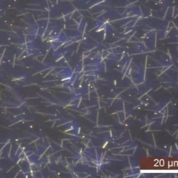 Silver Nanowires A50SL for Inkjet Printing (50nm×2-10um)