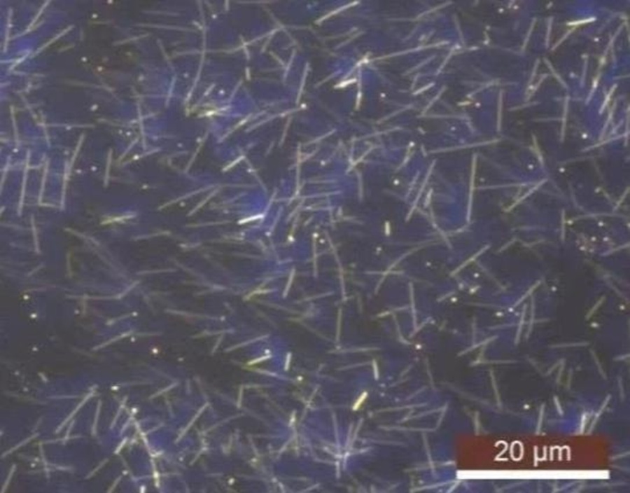 SEM image of silver nanowires A50SL