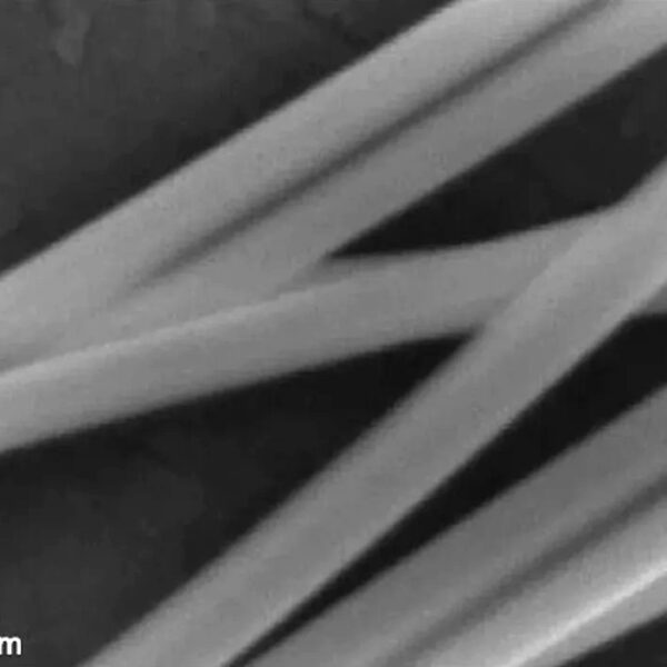 Silver Nanowires A60 (60nm×45um) Silver Nanowires A60 (60nm×45um)