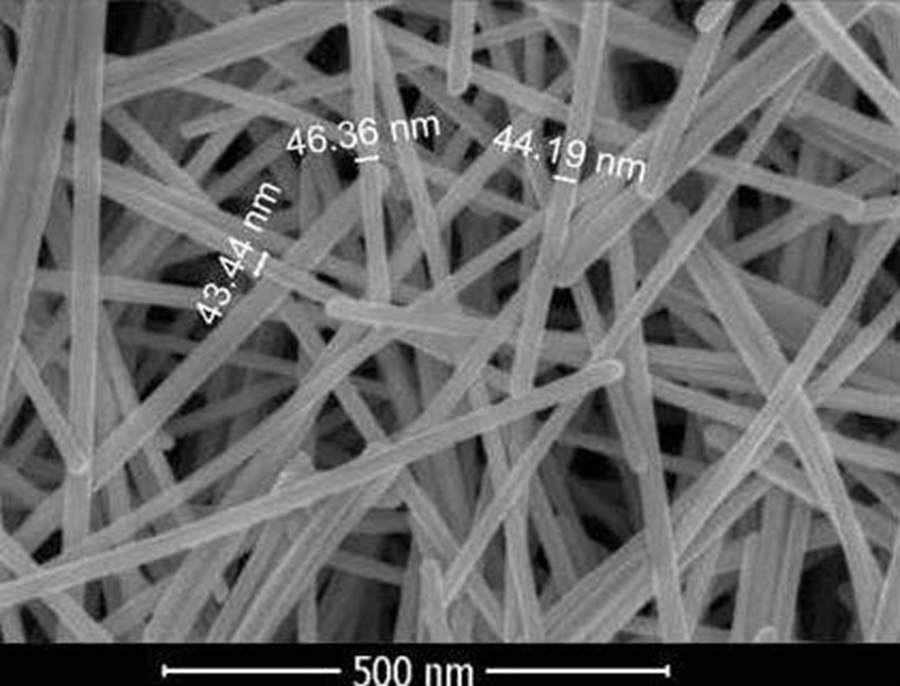 SEM image of silver nanowires B45