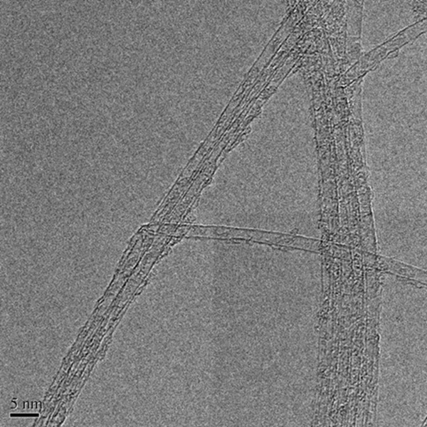 Single-Walled Carbon Nanotubes ST Single-Walled Carbon Nanotubes ST