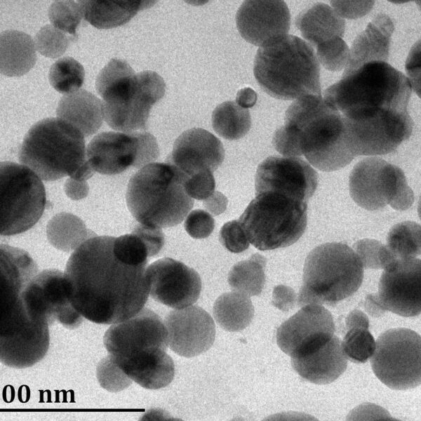 Silicon Nanoparticles A100 (100nm)