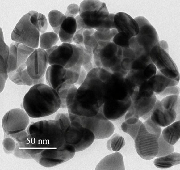 Silver Nanoparticles B50 (50nm) Silver Nanoparticles B50 (50nm)