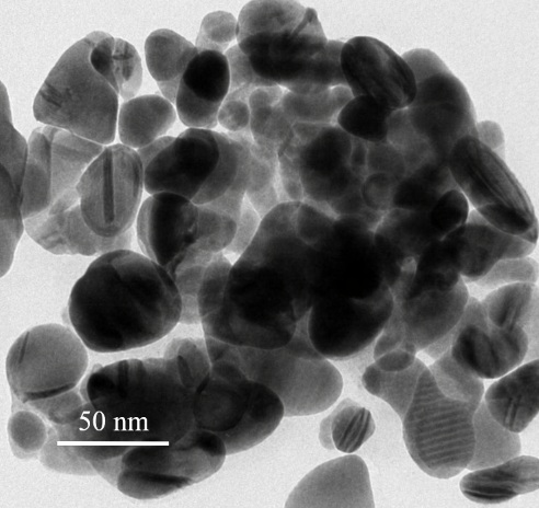 Silver Nanoparticles B50 (50nm)