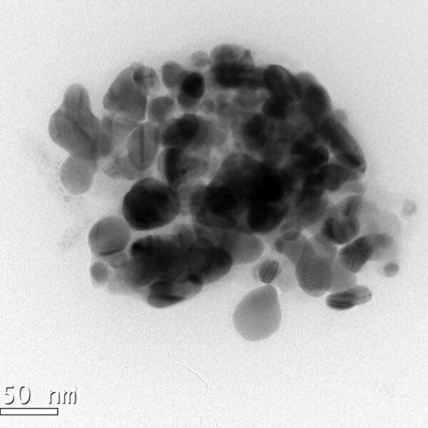 Silver Nanoparticles B50 (50nm)