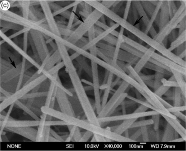 Zinc Oxide Nanowires A50S (50nm×5um) Zinc Oxide Nanowires A50S (50nm×5um)