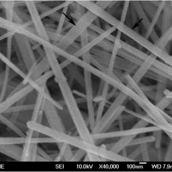 Zinc Oxide Nanowires A50S (50nm×5um)