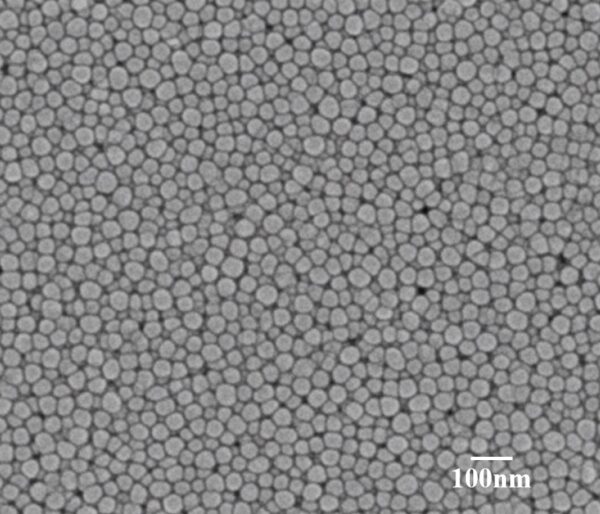 Silver Nanoparticles G40